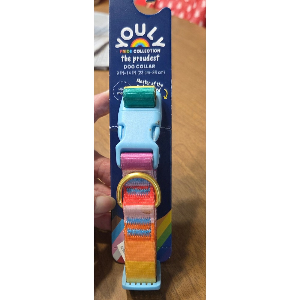 Youly Pride Collection The Proudest Dog Collar Rainbow Striped Small 9-14 Inch